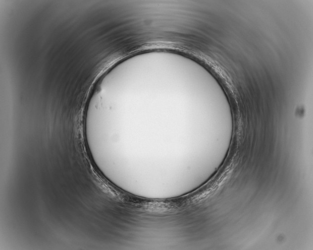 X0000103461137200810031452