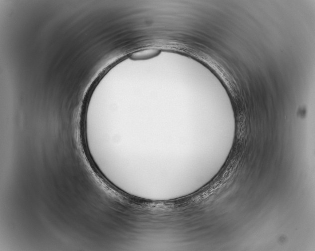 X0000103461139200810031452