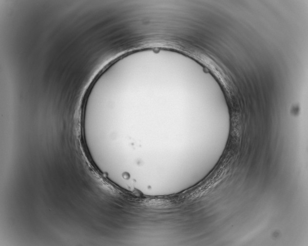 X0000103461140200810031452