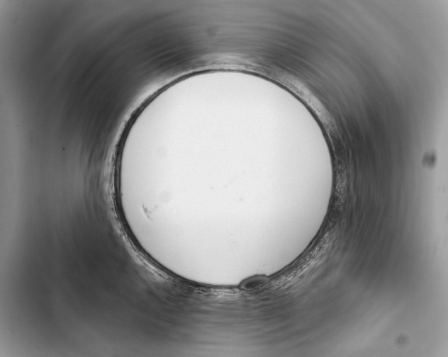 X0000103461144200810031452