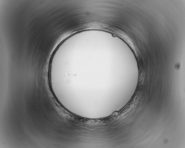 X0000103461146200810031452