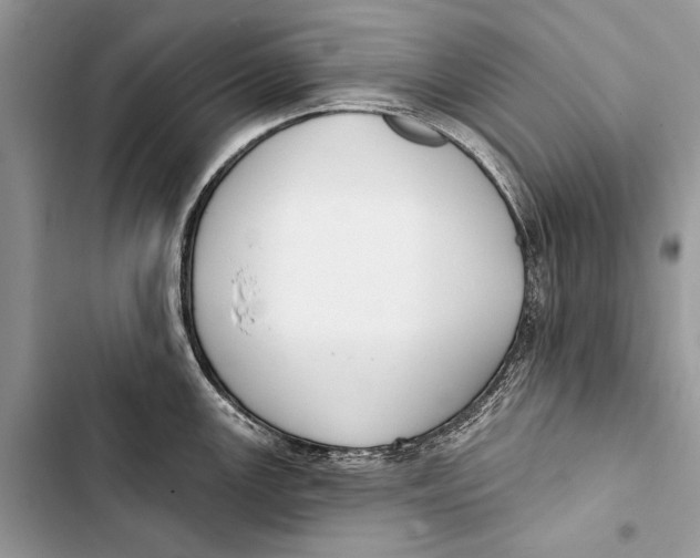 X0000103461147200810031452