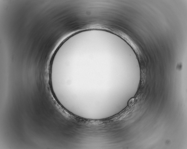 X0000103461148200810031452