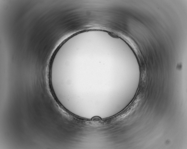 X0000103461149200810031452