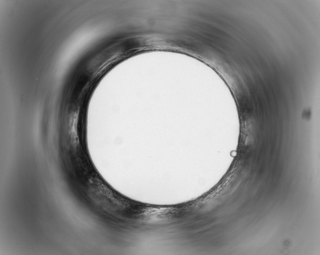 X0000103461150200810031452