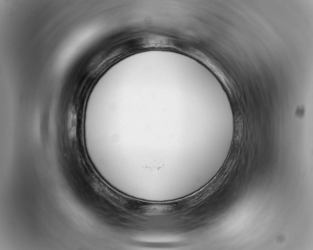 X0000103461151200810031452