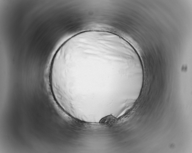 X0000103461152200810031452