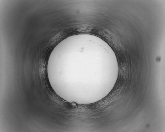 X0000103461154200810031452