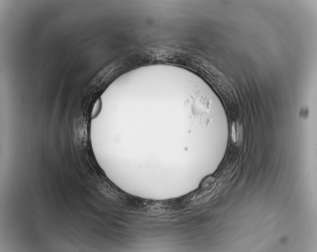 X0000103461155200810031452