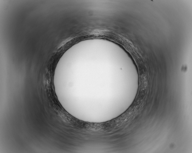 X0000103461158200810031451