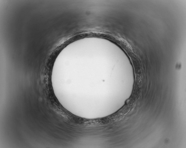 X0000103461159200810031451