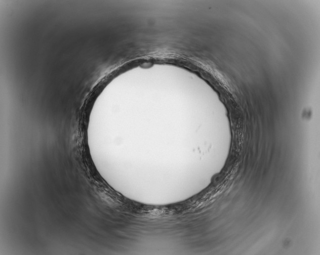 X0000103461160200810031451