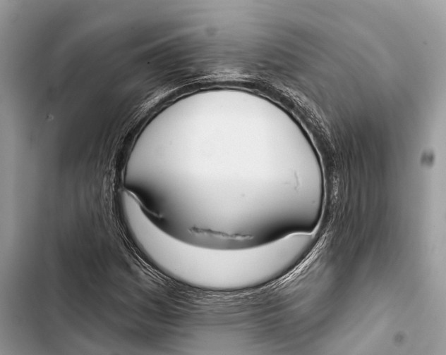 X0000103461161200810031451