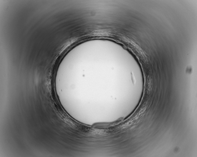 X0000103461162200810031451