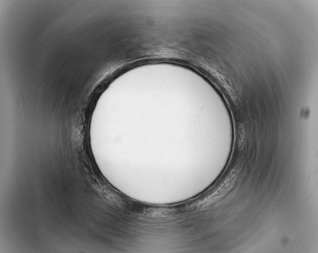 X0000103461163200810031451