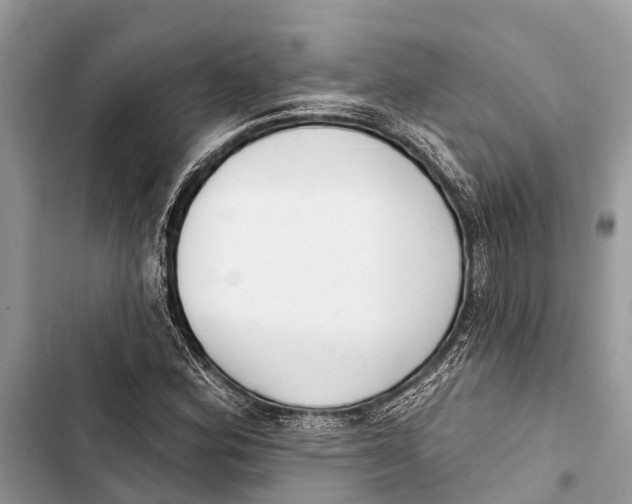 X0000103461164200810031451