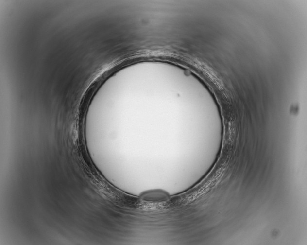 X0000103461165200810031451