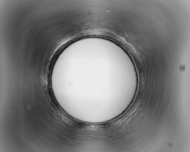 X0000103461166200810031451