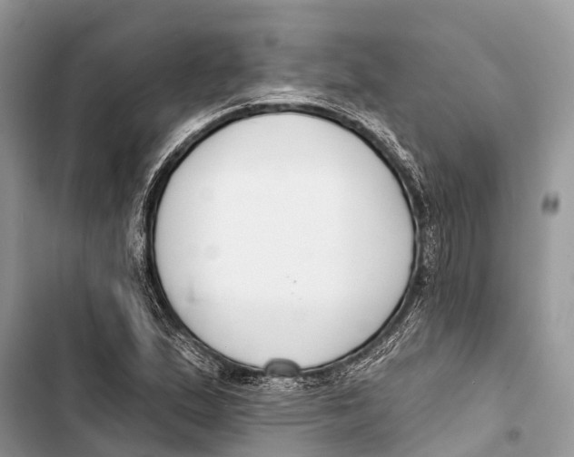 X0000103461167200810031451