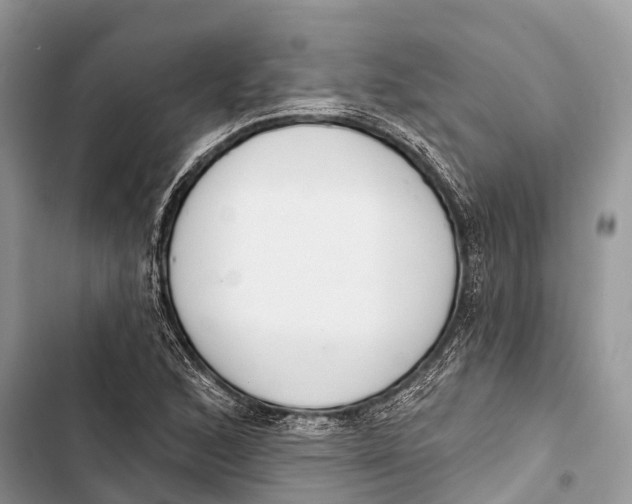 X0000103461168200810031451