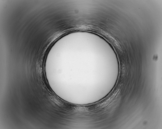 X0000103461170200810031451