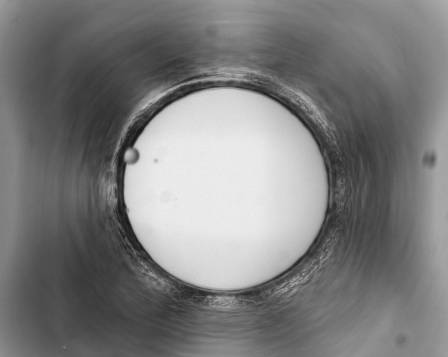 X0000103461172200810031451