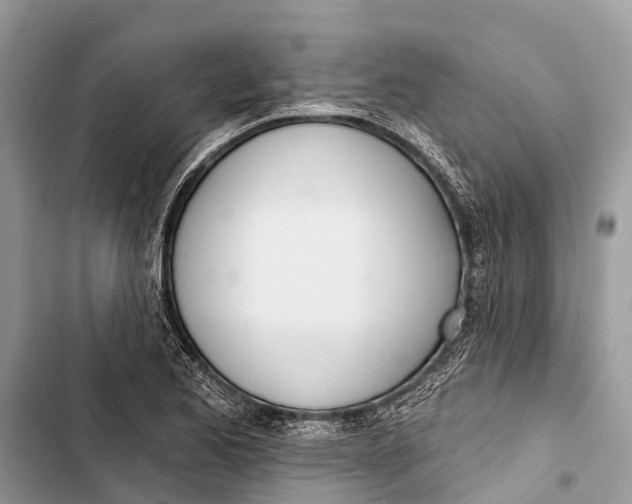 X0000103461173200810031451