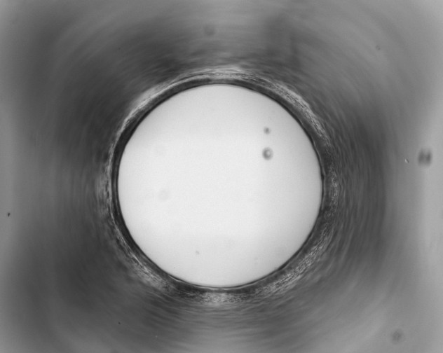 X0000103461176200810031451