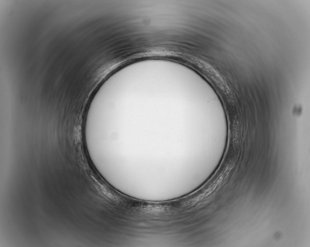 X0000103461177200810031451