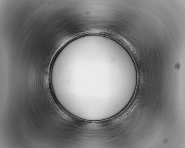 X0000103461178200810031451