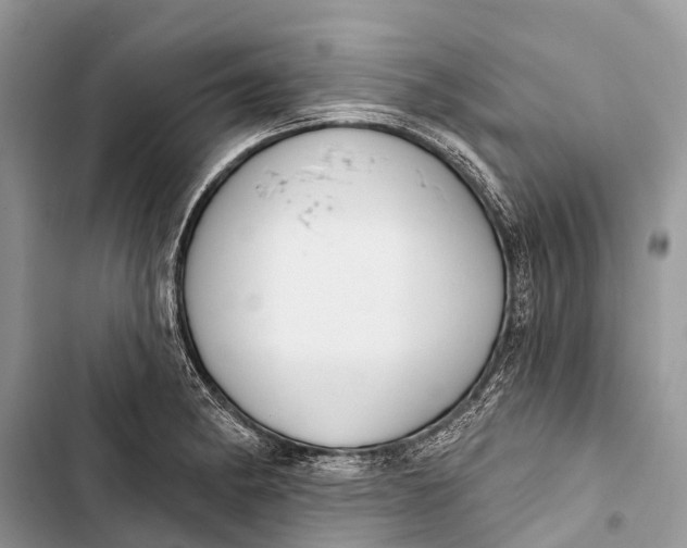 X0000103461182200810031451