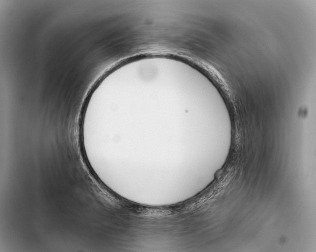 X0000103461183200810031451