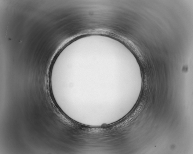 X0000103461184200810031451