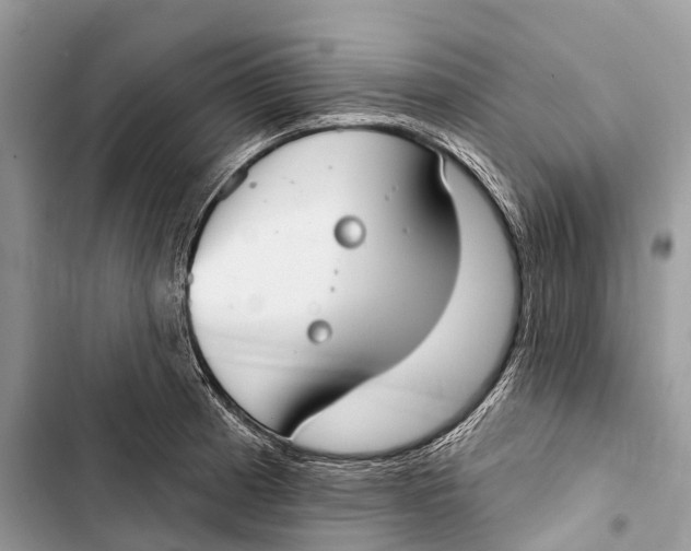 X0000103461185200810031451