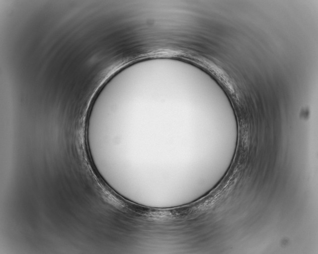 X0000103461186200810031451