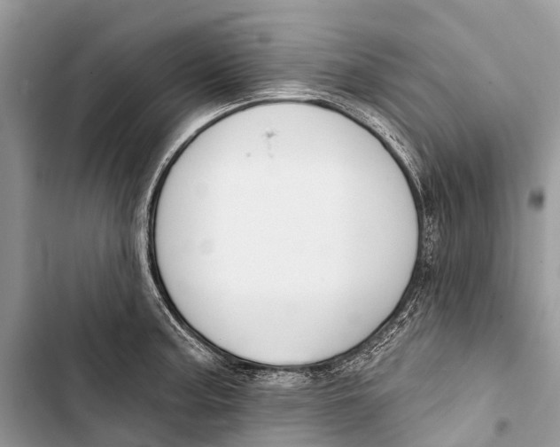 X0000103461187200810031451