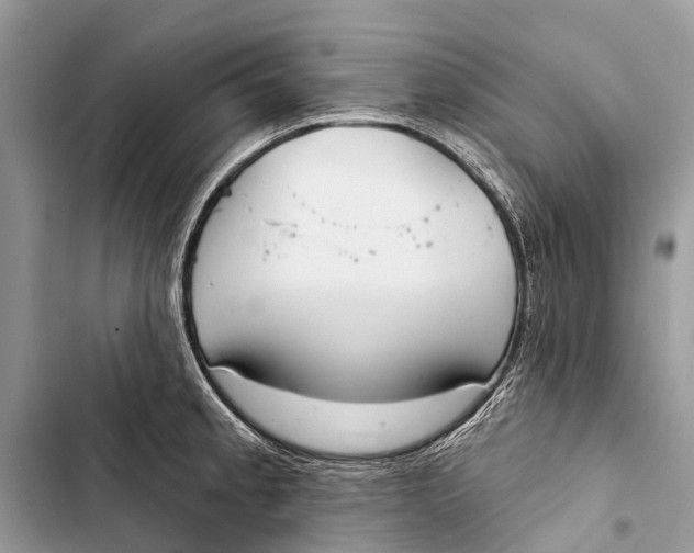 X0000103461189200810031451