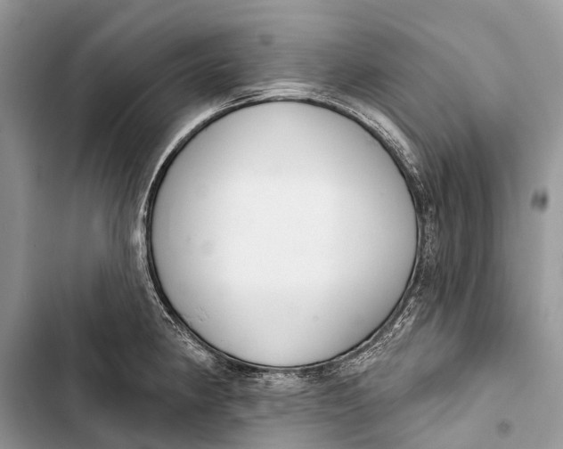 X0000103461190200810031451