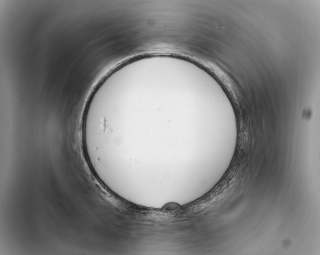 X0000103461191200810031451