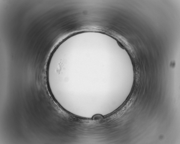 X0000103461192200810031451