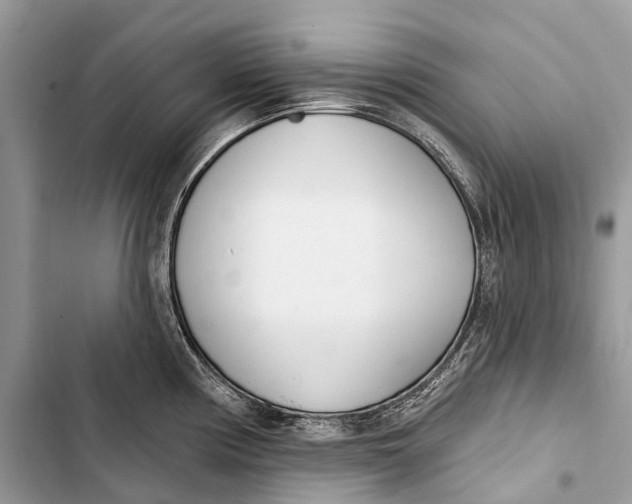 X0000103461194200810031451