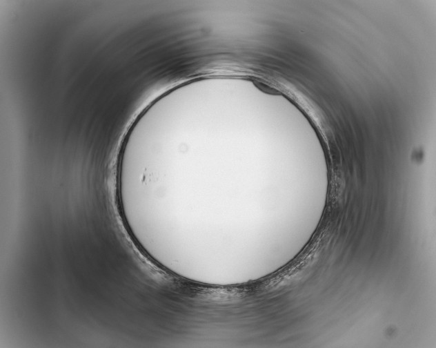 X0000103461195200810031451