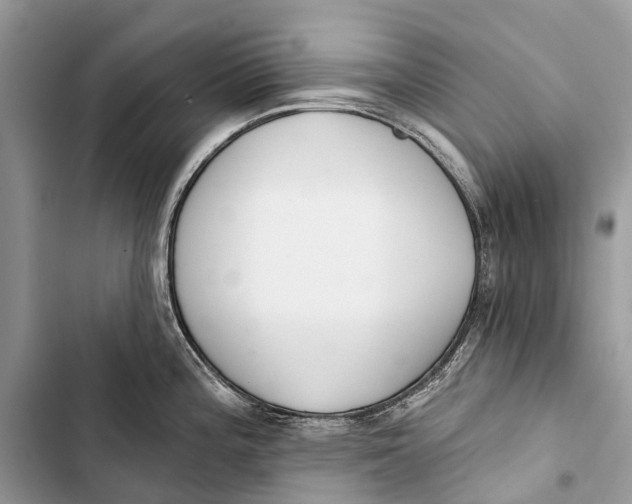 X0000103461196200810031451