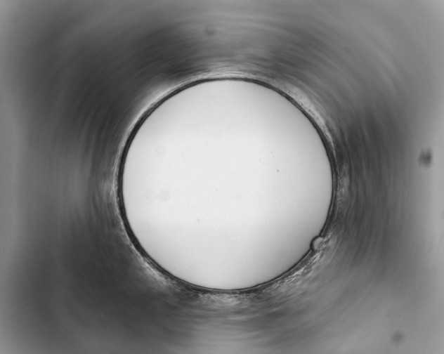 X0000103461197200810031451