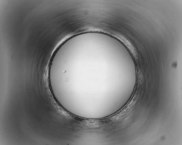 X0000103461198200810031451