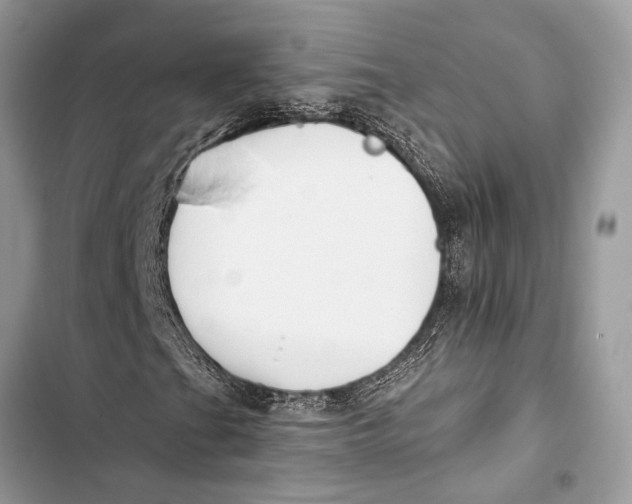 X0000103461201200810031450