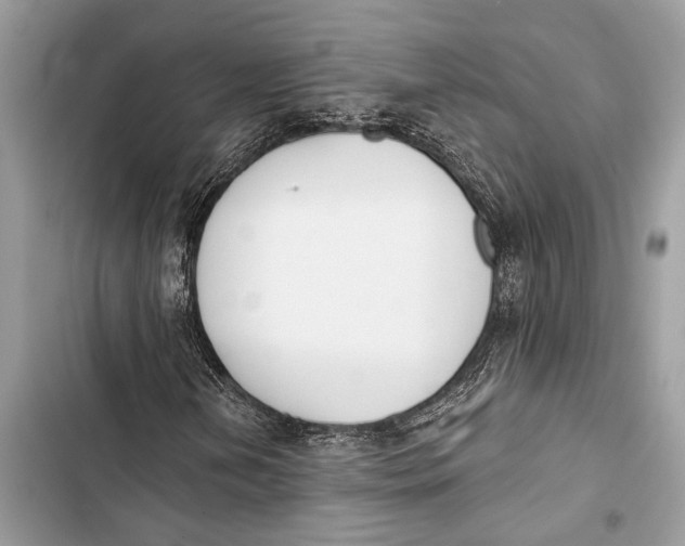 X0000103461202200810031450