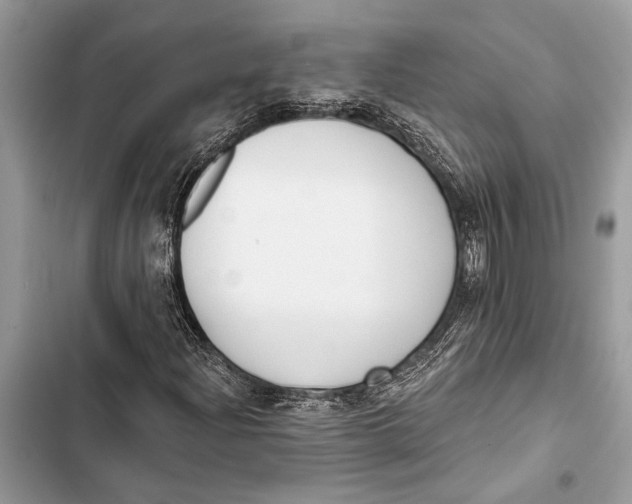 X0000103461204200810031450