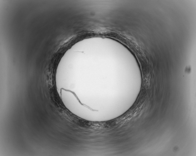 X0000103461205200810031450