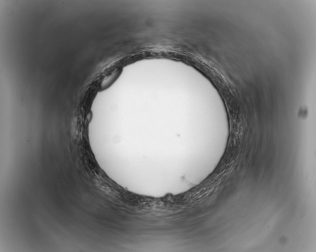 X0000103461207200810031450